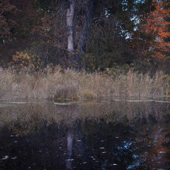 Надзвичайно тужливо і про осінь