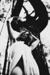 The Dark Tree