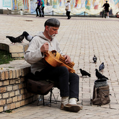 Музикант та голуби