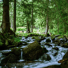 Річка. Карпати