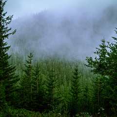 Незвіданими стежками
