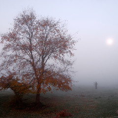 фотограф в тумані