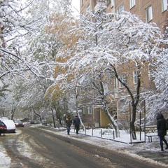 Январский снег  нашего двора