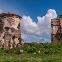 Червоногрудский замок