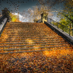 лестница в осень