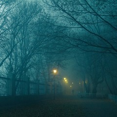 Туман в Мариинском парке.