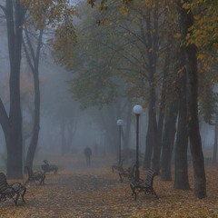 Осінь в місті