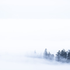 Туманний мінімалізм