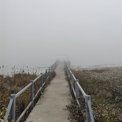 Onward Through The Fog