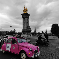 Pink In Paris