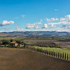 дорогами тосканськими...
