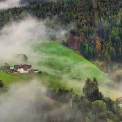 туманний ранок, 3