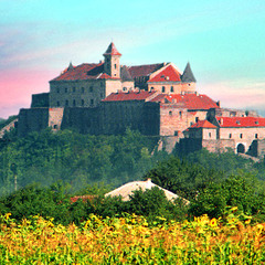 Мукачевський замок