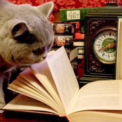 Кошка.. и книги..