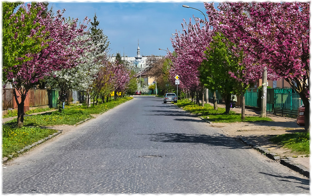 Весенний весенняя улица 24. Весенний город. Город весной. Улицы города весной.