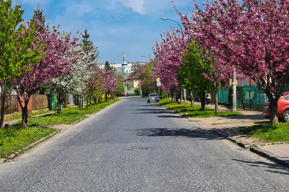 Фото города весной