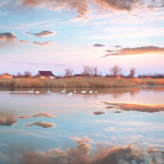Лебединое озеро