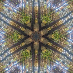 Forest Kaleidoscope
