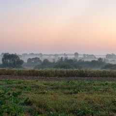 Ранкова панорама