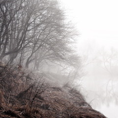 Березневий туман