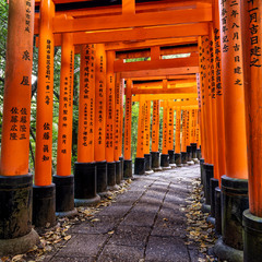Kyoto Gates