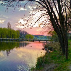 весеннее утро на озере