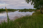 Десна