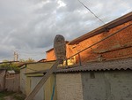 Сон  сірої неяситі.