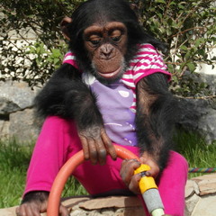 Працівниця..