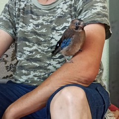 Посиділки...