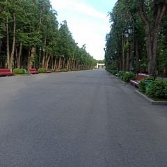 Паркова алея.