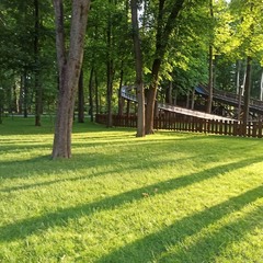 Сонячний ранок в парку.