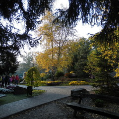 Осінній парк.