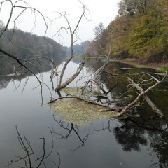 Річковий пейзаж.