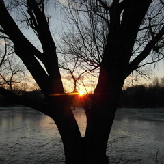 Зимовий захід сонця.