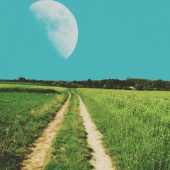 Дорога к луне