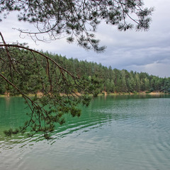 Сосновый берег Бирюзового озера