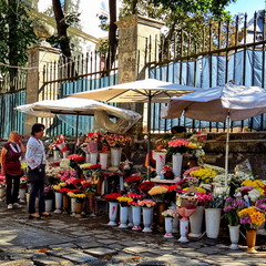 Квітковий базар