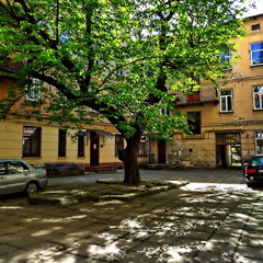 Львівський дворик