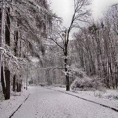 Зимова алея