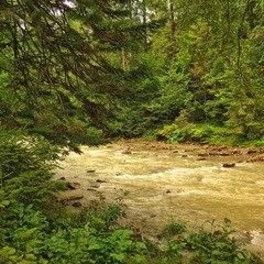 Гірська річка після дощу