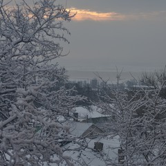 Снежное утро