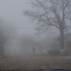 Из тумана