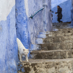 Шефшауэн, Марокко