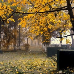 Черновицкая осень
