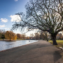Boating Lake in Regent's park, London