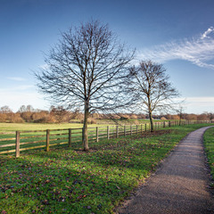 Woughton park, UK