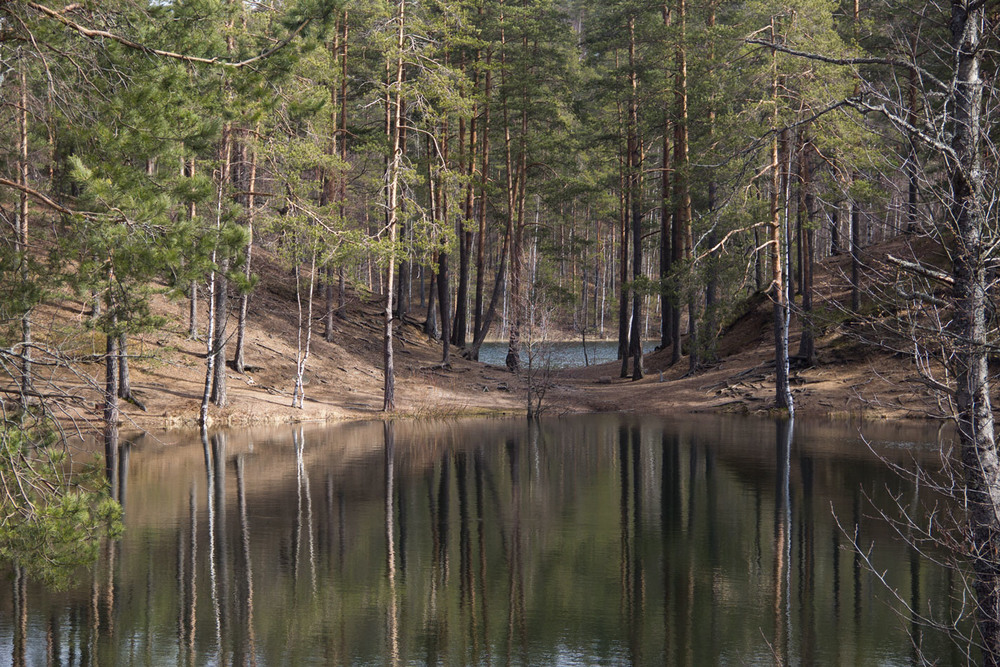 Семиозерье ленинградская область. Карельский перешеек Семиозерье. Озеро копытце Семиозерье. Семиозерье СПБ. Семиозерье 2022.