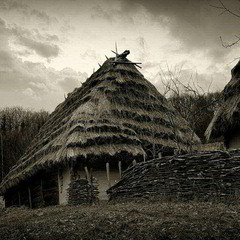 Straw roofs...