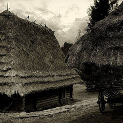House under thatched kryshets